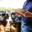 Certificação Técnica por Competência em Agropecuária