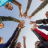 Certificação Técnica por Competência em Desenvolvimento Comunitário