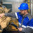 Certificação Técnica por Competência em Eletromecânica