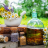Naturopatia