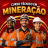 Técnico em Mineração