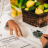 Certificação Técnica por Competência em Nutrição Dietética