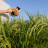Certificação Técnica por Competência em Agronegócio