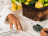 Certificação Técnica por Competência em Nutrição